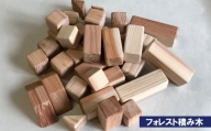 フォレスト積み木 / 玩具 つみき サンブスギ 千葉県