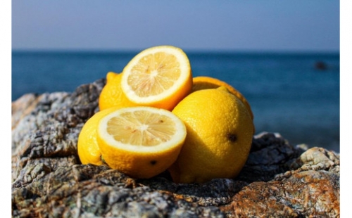 [和歌山県産] (7kg)完熟レモン!皮までご使用いただける低農薬栽培!