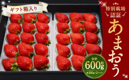 あまおう 約600g (約300g×2パック(1箱)) ギフト いちご フルーツ