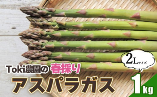 春採りアスパラガス 2Lサイズ 1kg　山形県鶴岡産　Toki農園