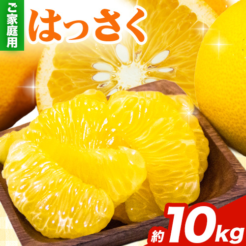 ＜1月より発送＞ご家庭用 訳あり はっさく 八朔 みかん 10kg +250g 池田鹿蔵農園 日高町《1月上旬-3月末頃出荷》和歌山県 日高町 送料無料 はっさくみかん 八朔 訳ありはっさく【配送不可地域あり】 632262 - 和歌山県日高町