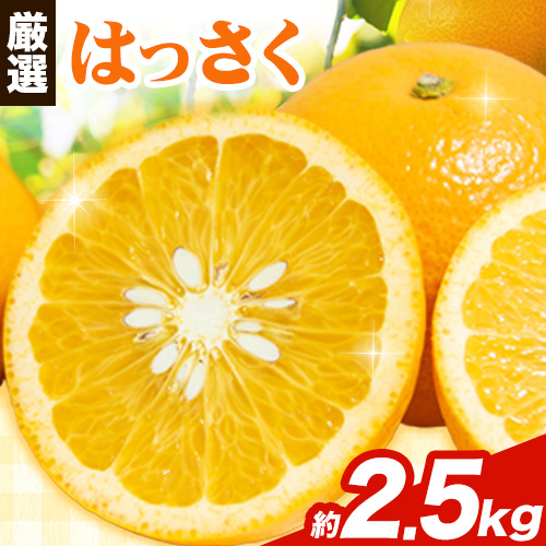 ＜1月より発送＞ 厳選 はっさく 2.5kg+250g（傷み補償分） 池田鹿蔵農園 日高町 《2026年1月上旬-3月末頃出荷》和歌山県 日高町 送料無料 はっさくみかん 八朔 はっさく ギフト【配送不可地域あり】 632277 - 和歌山県日高町