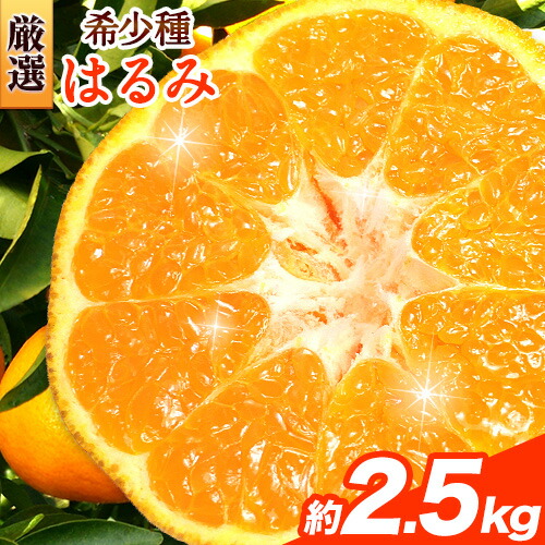 ＜2月より発送＞厳選 はるみ 2.5kg+250g（傷み補償分） 池田鹿蔵農園 日高町《2月上旬-3月末頃出荷》和歌山県 日高町 はるみ みかん 柑橘 フルーツ デコポンの姉妹品種 光センサー選別【配送不可地域あり】 632404 - 和歌山県日高町
