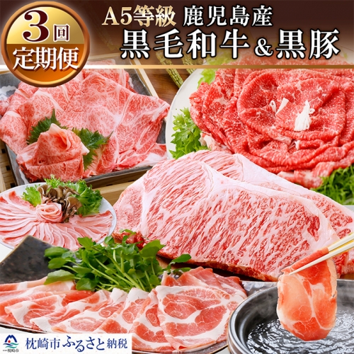 EE-0028 定期便 鹿児島産A5等級黒毛和牛&黒豚(3回配送)