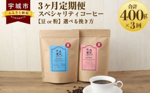 【3ヶ月定期便】 スペシャリティ コーヒー 豆 633278 - 熊本県宇城市