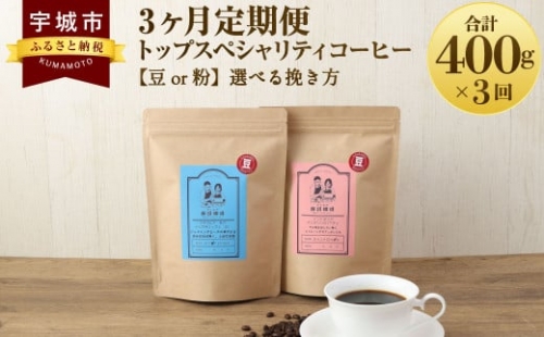 【3ヶ月定期便】 トップ スペシャリティ コーヒー 豆 633281 - 熊本県宇城市