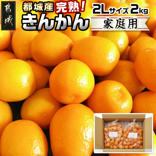 【2月～3月お届け】都城産完熟きんかん 家庭用2kg (2Lサイズ)_13-B501 633420 - 宮崎県都城市