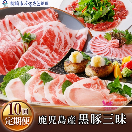GG-0018 定期便(1年で10回配送)鹿児島産黒豚三昧