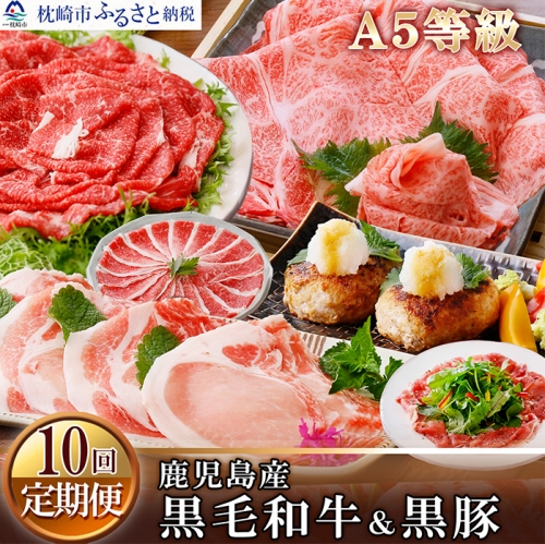 GG-0020 定期便(1年で10回配送)A5等級黒毛和牛・黒豚