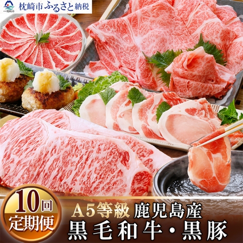 HH-0018 定期便(1年で10回配送)A5等級黒毛和牛&黒豚
