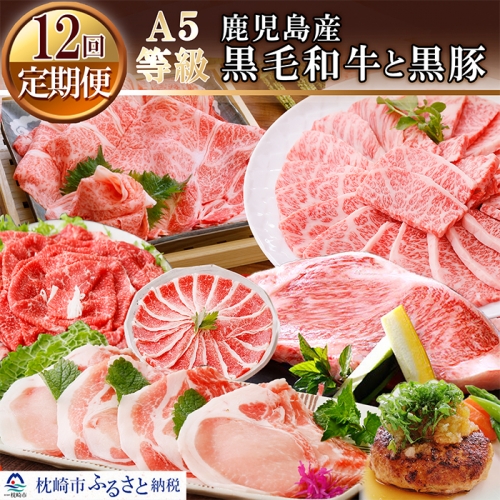 KK-0001 定期便(12ケ月)鹿児島産A5等級黒毛和牛と黒豚