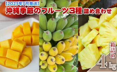 【2023年7月発送】沖縄季節のフルーツ3種詰め合わせ　約4kg