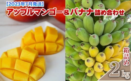 【2023年7月発送】アップルマンゴー＆バナナ詰め合わせ　約2kg