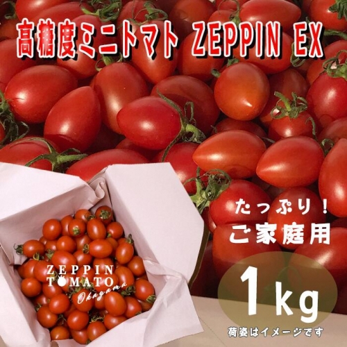 EPPIN TOMATO Okayama 1kg箱（ZEPPIN EX） C-39a 633985 - 岡山県笠岡市