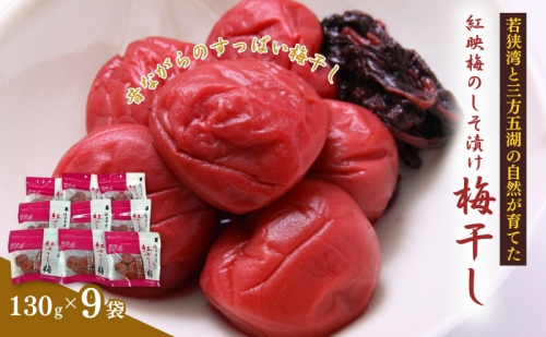 紅映梅のしそ漬け 梅干し　9袋（すっぱい 甘くない 梅干し）  63403 - 福井県若狭町