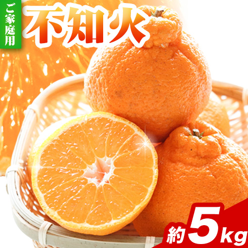 家庭用 不知火5kg+250g(傷み補償分)【デコポンと同品種・人気の春みかん】【光センサー食頃出荷】【訳あり】 池田鹿蔵農園@日高町（池田農園株式会社）《2月上旬-3月末頃出荷》和歌山県 日高町【配送不可地域あり】 634118 - 和歌山県日高町