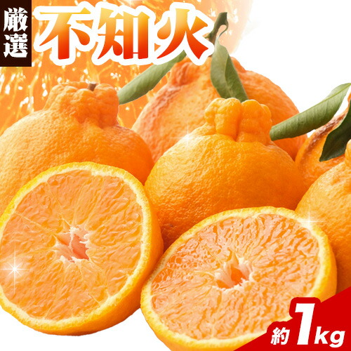 厳選 不知火 約1kg+250g（傷み補償）【デコポンと同品種】 池田鹿蔵農園@日高町（池田農園株式会社）《2月上旬-3月末頃出荷》和歌山県 日高町【配送不可地域あり】 634119 - 和歌山県日高町