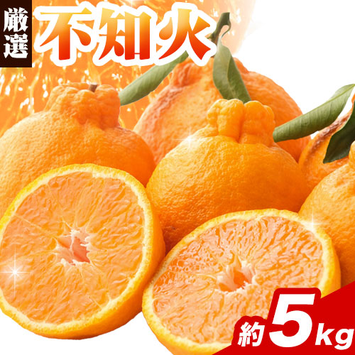 厳選 不知火5kg+250g（傷み補償分）【デコポンと同品種・人気の春みかん】【光センサーで食べ頃出荷】 池田鹿蔵農園@日高町（池田農園株式会社）《2月上旬-3月末頃出荷》和歌山県 日高町【配送不可地域あり】 634122 - 和歌山県日高町