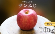 秋田県鹿角産りんご「サンふじ」小玉 10kg（40～46玉入り）【平野りんご園】