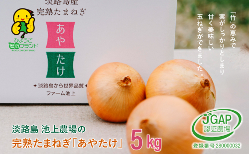 淡路島　池上農場の完熟たまねぎ「あやたけ」5kg　　[玉ねぎ 玉葱] 634224 - 兵庫県淡路市