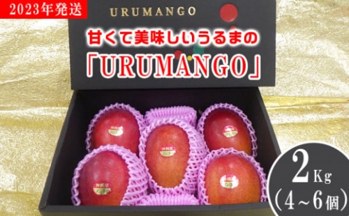 甘くて美味しい「URUMANGO」2Kg（4～6個）2023年発送 634345 - 沖縄県うるま市