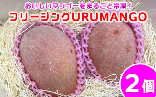 フリージングURUMANGO（2個）おいしいマンゴーをまるごと冷凍！ 634346 - 沖縄県うるま市