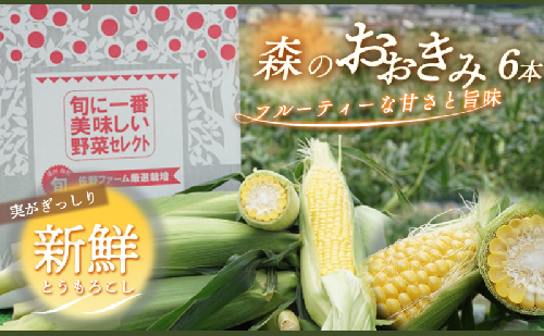 2026年産 実がぎっしり大きい 新鮮 朝どれ とうもろこし 先行予約 森のおおきみ 6本 セット 詰め合わせ 野菜 JGAP認証 しずおか認証取得農場  先行 予約 2026 2026年 新鮮野菜 静岡 静岡県 森町 634347 - 静岡県森町
