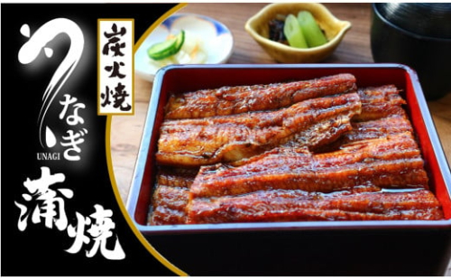 E0027.炭火焼国産うなぎ蒲焼2尾分(タレ・山椒付) 634385 - 大阪府貝塚市