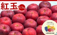 24A [先行予約]りんご 紅玉 (松川町産) 4.5kg 秀品 /2024年10月上旬〜11月上旬頃配送予定