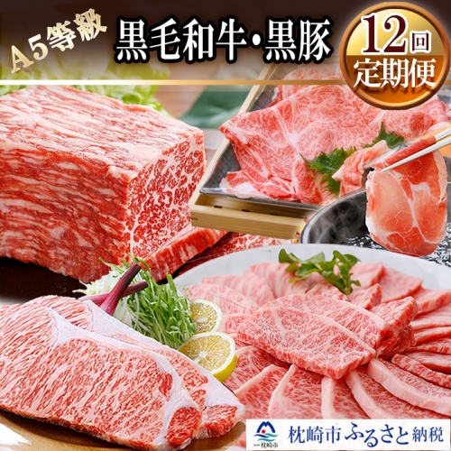 JJ-0015 定期便(12ケ月)A5等級鹿児島県産黒毛和牛&黒豚