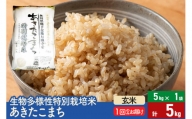 【玄米】令和5年産 生物多様性特別栽培米あきたこまち 5kg（5kg×1袋）