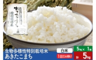 【白米】令和5年産 生物多様性特別栽培米あきたこまち 5kg（5kg×1袋）