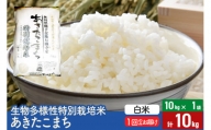 【白米】令和5年産 生物多様性特別栽培米あきたこまち 10kg（10kg×1袋）