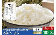 【白米】《定期便3ヶ月》令和5年産 生物多様性特別栽培米あきたこまち 10kg（10kg×1袋）×3回 計30kg 3か月 3ヵ月 3カ月 3ケ月
