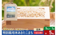 【玄米】令和5年産 特別栽培米あきたこまち 5kg（5kg×1袋）