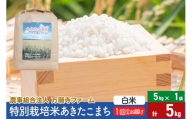 【白米】令和5年産 特別栽培米あきたこまち 5kg（5kg×1袋）
