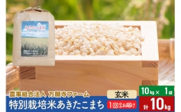 【ふるさと納税】【玄米】令和5年産 特別栽培米あきたこまち 10kg（10kg×1袋）