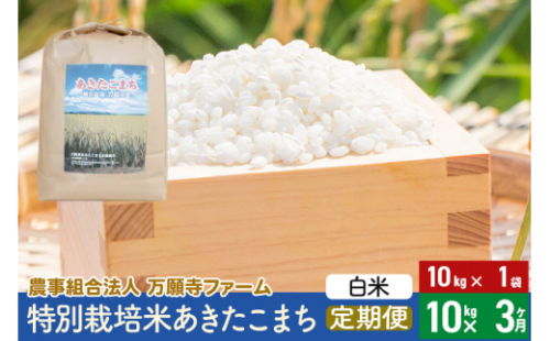 【白米】《定期便3ヶ月》特別栽培米あきたこまち 10kg(10kg×1袋)×3回 計30kg 3か月 3ヵ月 3カ月 3ケ月 635143 - 秋田県美郷町