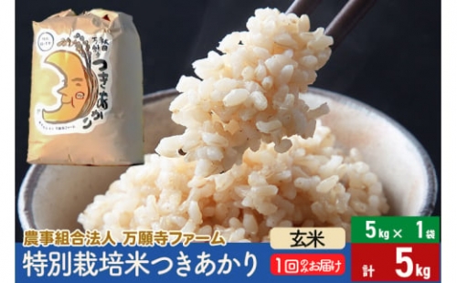 【玄米】特別栽培米つきあかり 5kg（5kg×1袋） 635146 - 秋田県美郷町