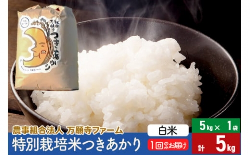 【白米】特別栽培米つきあかり 5kg（5kg×1袋）
