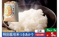 【白米】令和5年産 特別栽培米つきあかり 5kg（5kg×1袋）