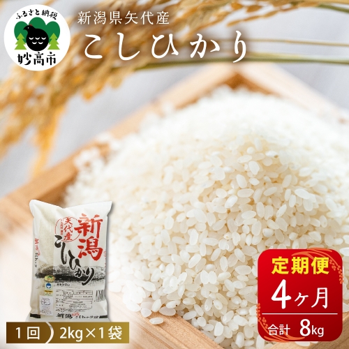 【定期便】新潟県矢代産コシヒカリ2kg×4回(計8kg) 635270 - 新潟県妙高市
