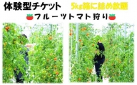 魅惑のフルーツトマト『ワンダフルトマト』収穫体験チケット（1名様分）[№5651-1351]