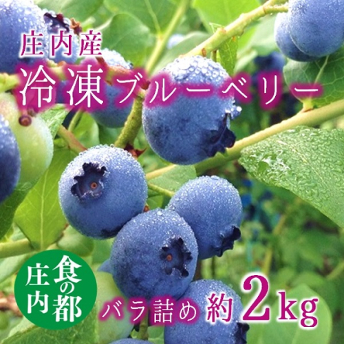 食の都庄内【令和6年産】庄内産冷凍ブルーベリー（バラ詰め約2kg） 63542 - 山形県三川町