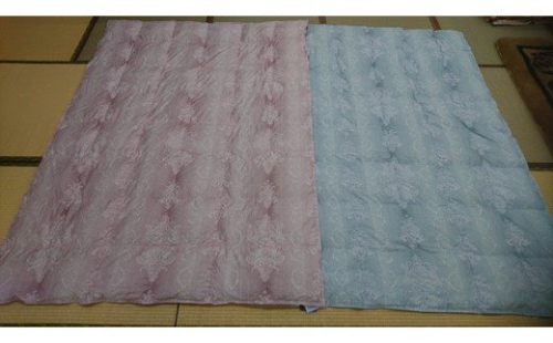 羽毛の宝石　アイダーダックダウン95%300g入り　羽毛肌布団「セーヌ」春夏用（ブルー）【CW54W】 63552 - 滋賀県近江八幡市