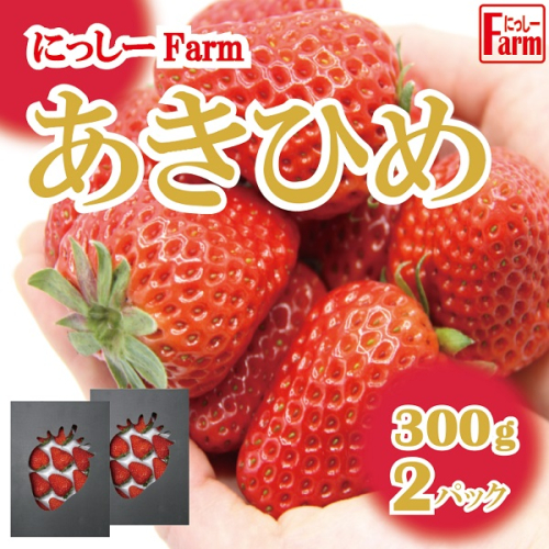 011NF02N.美味しいいちご「にっしーFarmのあきひめ」300g×2P【予約受付2024年12月中旬から順次発送】