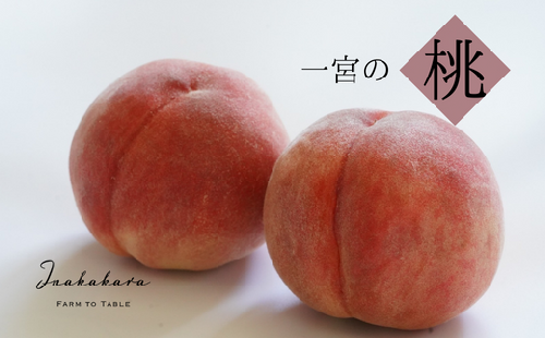 【先行予約】2023年発送　Inakakara　一宮の特選桃の詰め合わせ　約1kg