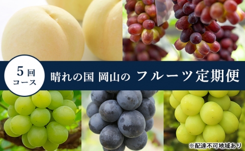 フルーツ 晴れの国 岡山 の フルーツ 定期便 5回コース 岡山県産 桃 もも 葡萄 ぶどう 2023年 先行予約