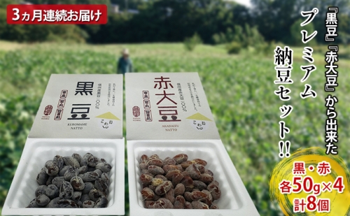 【3カ月連続お届け】長野市産　丁寧に作り上げた『黒豆』『赤大豆』から出来た プレミアム納豆セット！！ 国産 ご飯のお供