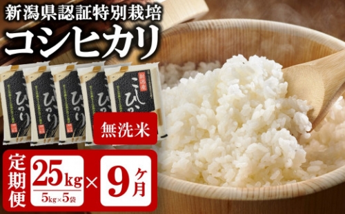 令和4年産米【定期便】新潟県認証特別栽培 コシヒカリ 無洗米 25kg（5kg×5袋）×9回（計 225kg） 真空パック